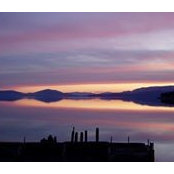 Nina Hansen's photo