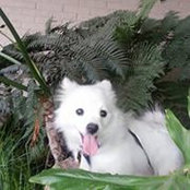 June DeBacker's photo