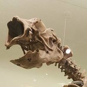 Dan Norregaard's photo
