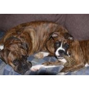 Kathy Holmes's photo