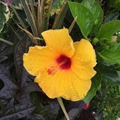 Scott Slate's photo