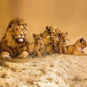 Abraham Oladotun's photo
