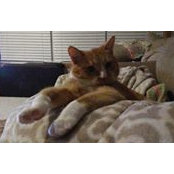 Paula Jacques's photo