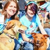 Kimberly Coile's photo