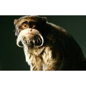 Matt Flood's photo