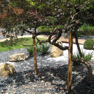 Asian Inspired Garden