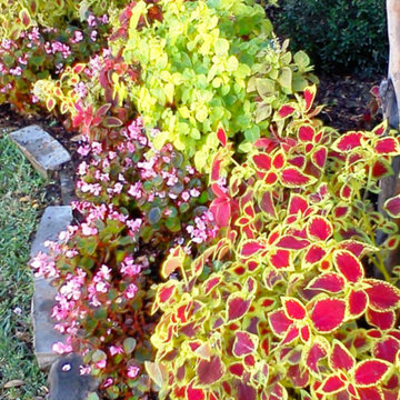 Seasonal Color