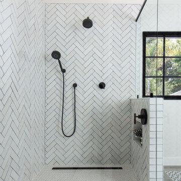 Walk-in Shower with Linear Sleek Drain