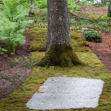 Maritime Woodland Garden