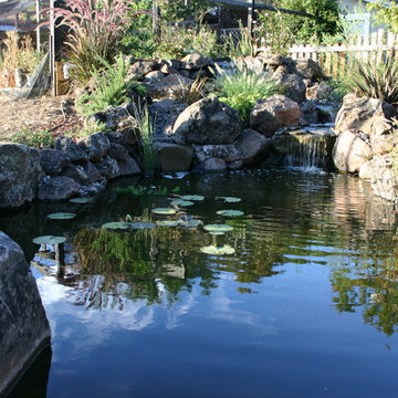 Water Features