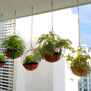 Anagha's Home Gardens