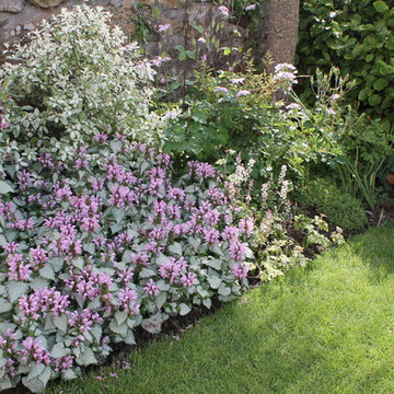 Coastal Front Garden