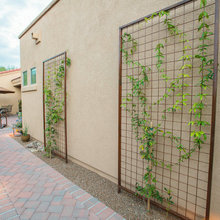 Kuwait Landscaping