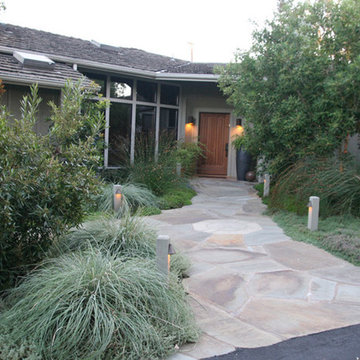 A country garden in Palo Alto
