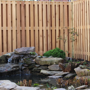 Natural Pond cut back for fall