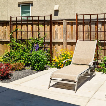 Transitional Backyard Oasis