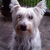 Foto von Zorina Hunter