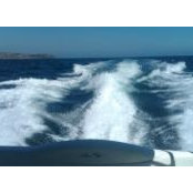 Dan Williams's photo