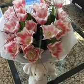 Carla Bocova's photo