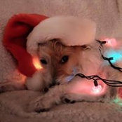 Christie Siebel's photo