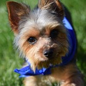 David James's photo