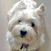 Gigliola Maglio's photo