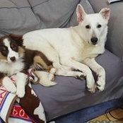 Diane Sumrall's photo