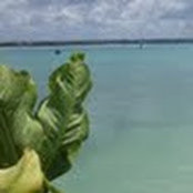 Sacha Green-Atchley's photo