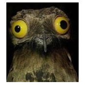 Paul Hargis's photo