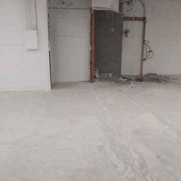 Spring St. - Demolition