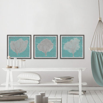 Graphic Sea Fan IX Triptych