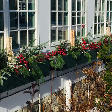 Planters & WIndow Boxes