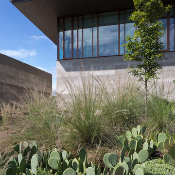 Mell Lawrence Architects - Balcones House
