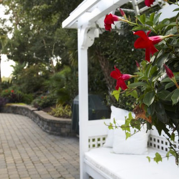 Tropical Backyard Oasis - waterfall and koi pond