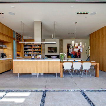 La Jolla Shores House