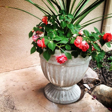 Pots