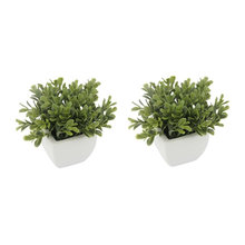 Accent / Nic nacks