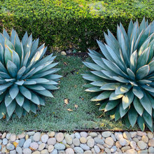 retaining wall landscape
