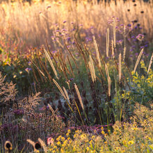 Fall Imagery