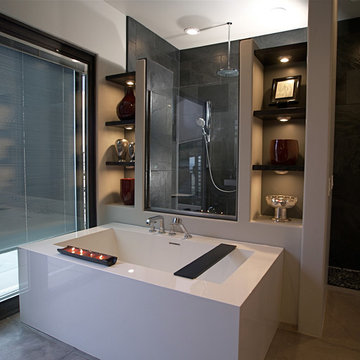 Contemporary Master Bathroom