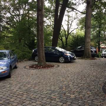 Takoma Park Permeable Paver Driveway