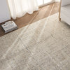 Vibe by Jaipur Living Sovis Abstract Light Gray/ Ivory Area Rug, 7'10"x10'10"