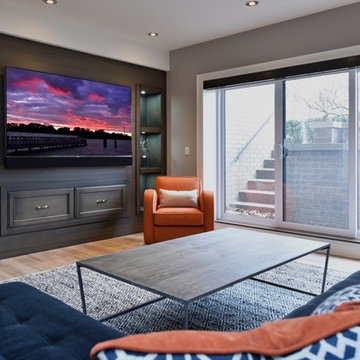 Home Media Living Rooms