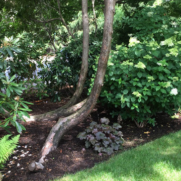 border planting