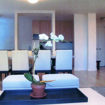 Central Park West Apartment