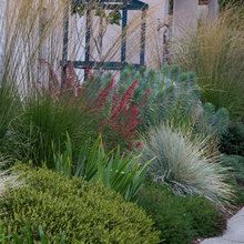 backyard ideas