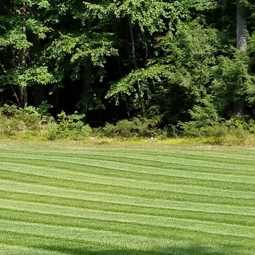 Lawn Mowing In Milford