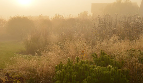 Houzz Белоруссия: Сад в тумане