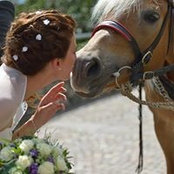 Katja Sondermann's photo