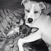 Darlene Baker's photo
